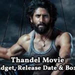 Thandel Movie