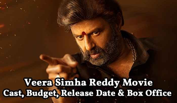 Veera Simha Reddy Movie
