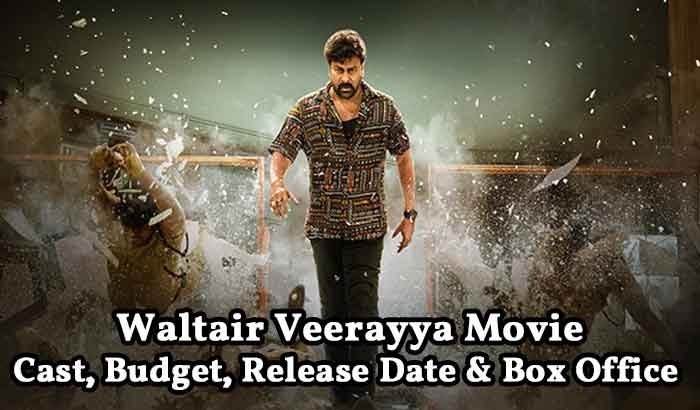 Waltair Veerayya Movie